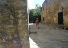 DSCF5753
