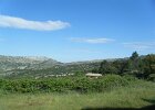 DSCF5755